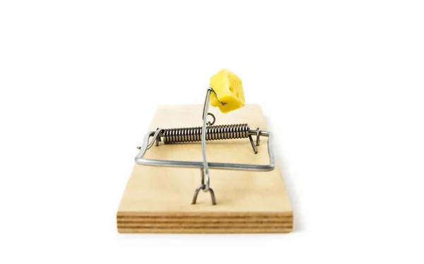 Mousetrap with cheese isolated on white background — Stock Photo, Image