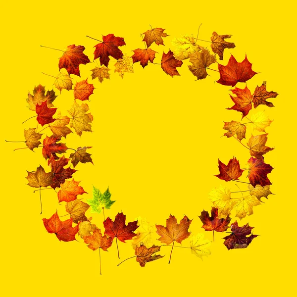 五彩缤纷的秋天树叶在黄色的背景上与世隔绝 五彩缤纷的枫叶边框 — 图库照片