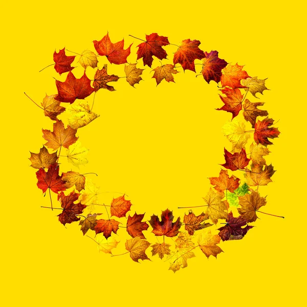 Colorful Autumn Leaves Isolated Yellow Background Border Frame Colorful Maple — Stock Photo, Image