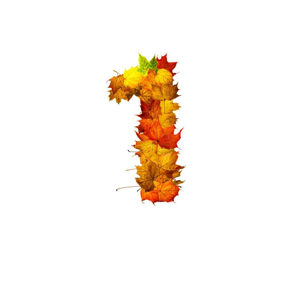 Colorful Autumn Leaves Isolated White Background Number One Number One — Stock Photo, Image