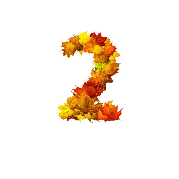 Красочные Осенние Листья Выделены Белом Фоне Качестве Номера Два Номер — стоковое фото