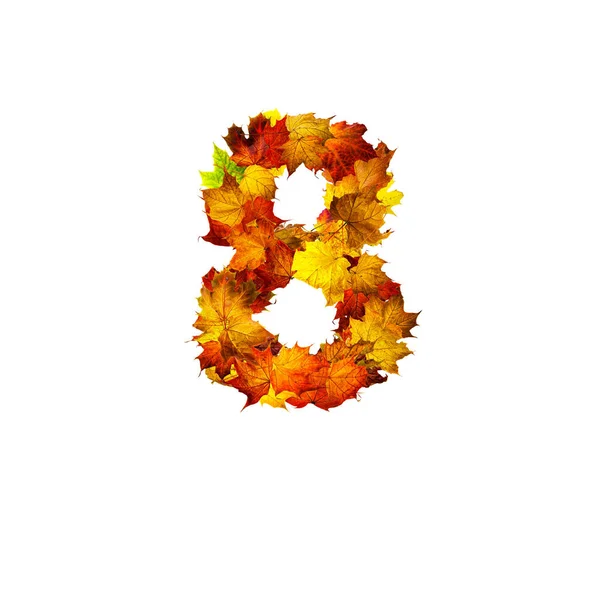 五彩缤纷的秋天树叶被白色背景隔离在第八位 — 图库照片
