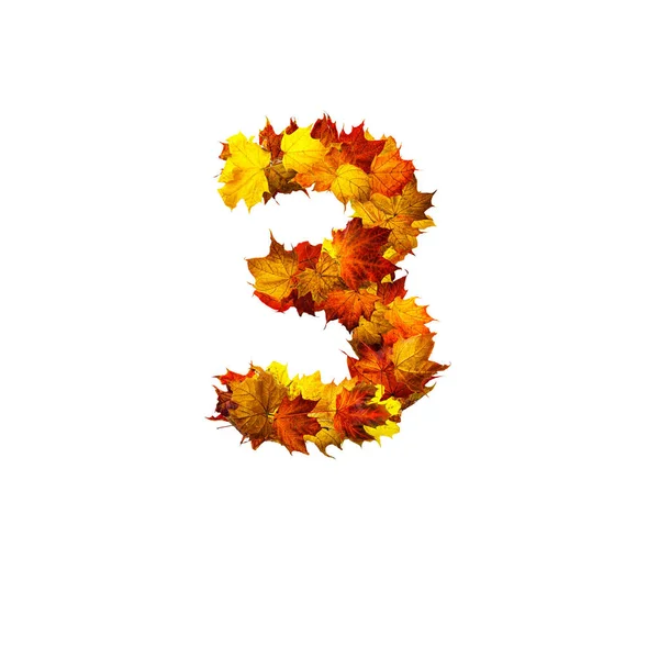 Kleurrijke Herfstbladeren Geïsoleerd Witte Achtergrond Als Nummer Drie Nummer Drie — Stockfoto