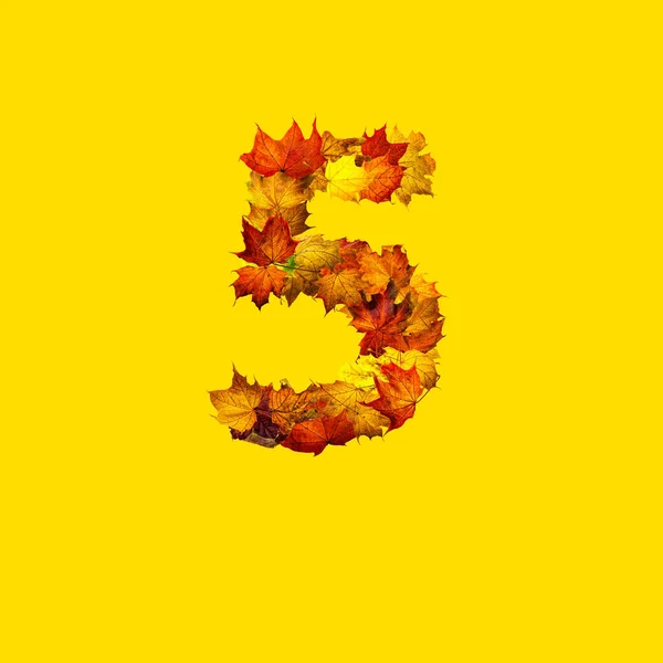 Colorful Autumn Leaves Isolated Yellow Background Number Five Number Five — Stock Photo, Image