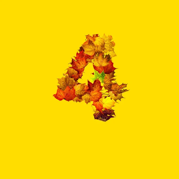 Bunte Herbstblätter Isoliert Auf Gelbem Hintergrund Als Nummer Vier Nummer — Stockfoto