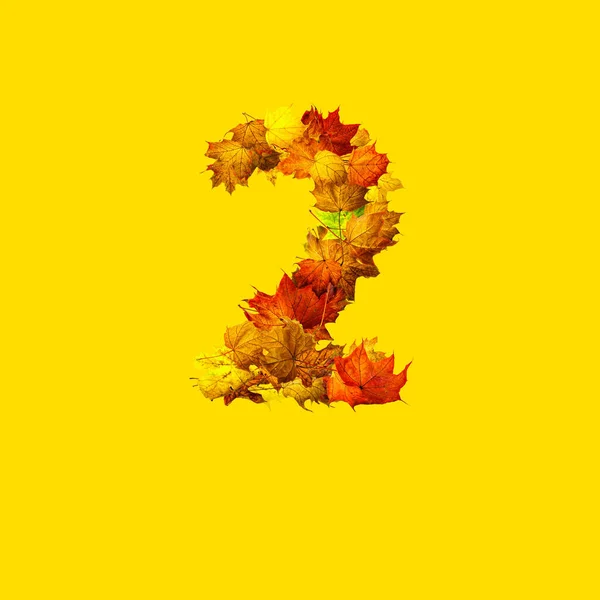 Colorful autumn leaves isolated on yellow background as number two. Number two.