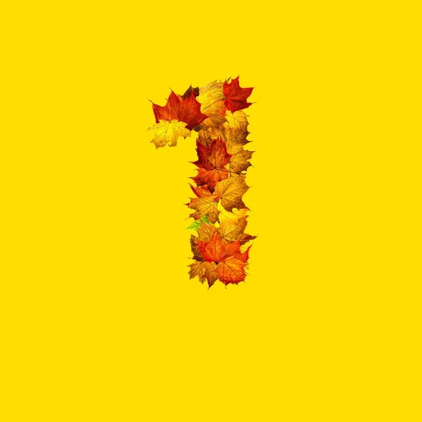 Colorful Autumn Leaves Isolated Yellow Background Number One Number One — Stock Photo, Image
