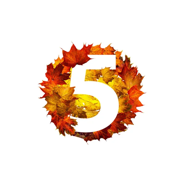 Number Five Circle Frame Colorful Autumn Maple Leaves Isolated White — Stock Photo, Image