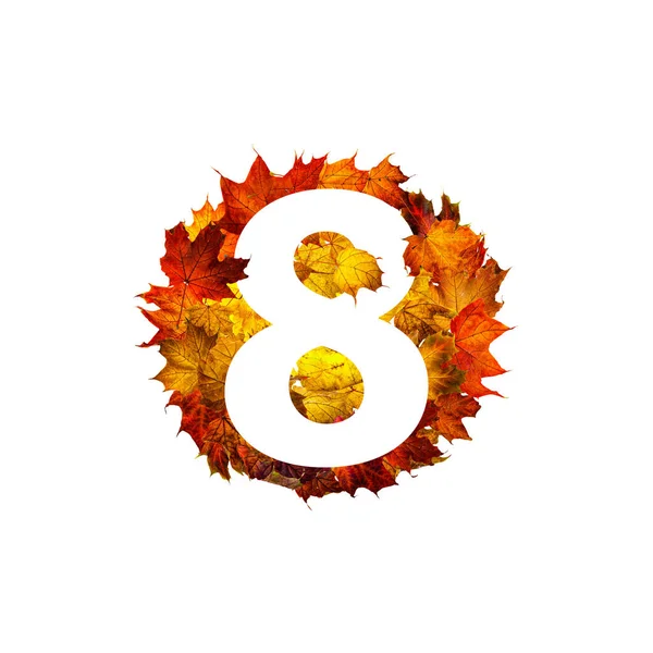 八号在五彩缤纷的秋天枫叶的圆框上与世隔绝 圆形的枯叶框架 秋季作文 — 图库照片