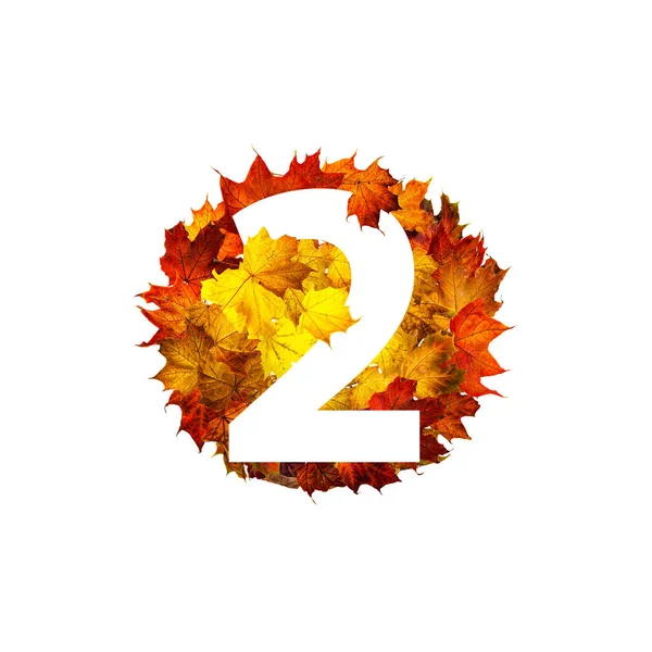 Number Two Circle Frame Colorful Autumn Maple Leaves Isolated White — Stock Photo, Image