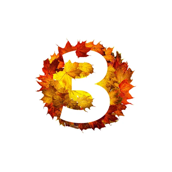 三号在五彩缤纷的秋天枫叶的圆框上隔离着白色 圆形的枯叶框架 秋季作文 — 图库照片