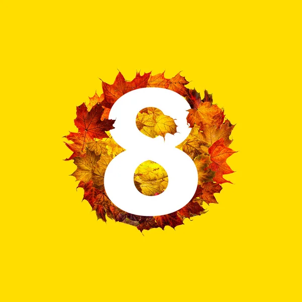 八号在五彩缤纷的秋天枫叶的圆框上 孤立在黄色上 圆形的枯叶框架 秋季作文 — 图库照片