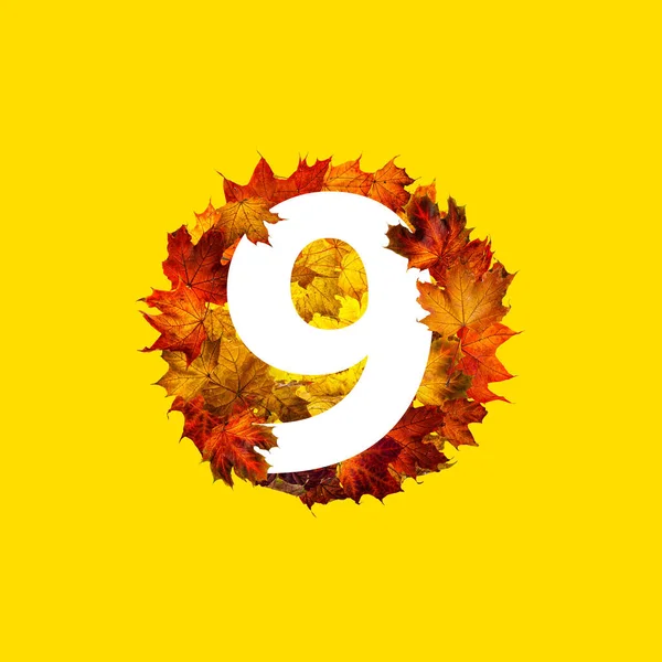 Numer Dziewięć Okrągłej Ramie Kolorowych Jesiennych Liści Klonu Odizolowanych Żółto — Zdjęcie stockowe