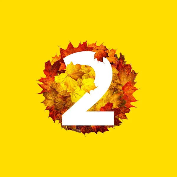 Number Two Circle Frame Colorful Autumn Maple Leaves Isolated Yellow — Stock Photo, Image