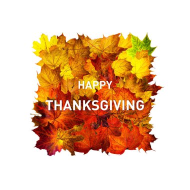 Mutlu Şükran Günleri yazılı tebrik kartı. Şükran Günü afişi. Renkli sonbahar akçaağaç yapraklarından oluşan dikdörtgen çerçeve beyaza izole edilmiş. Kurumuş yaprakların dikdörtgen çerçevesi.