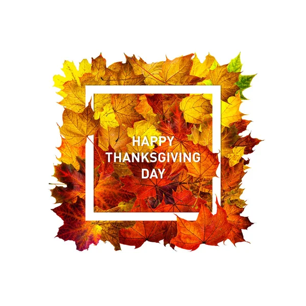 テキストとグリーティングカードハッピー感謝祭の日 感謝祭のバナー 色鮮やかな紅葉の長方形のフレームは 白に隔離された葉 乾燥葉の長方形のフレーム — ストック写真