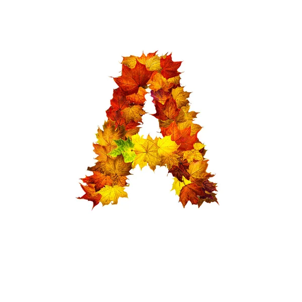 五彩缤纷的秋天树叶 以白色背景为字母A 字母A — 图库照片