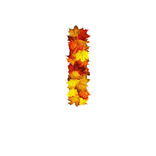 Colorful Autumn Leaves Isolated White Background Letter Letter — Stock Photo, Image