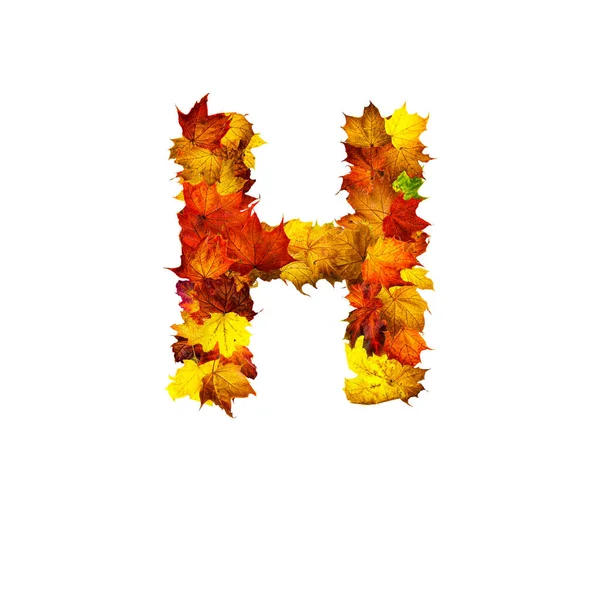 色彩斑斓的秋天树叶在白色的背景上被隔离成字母H — 图库照片