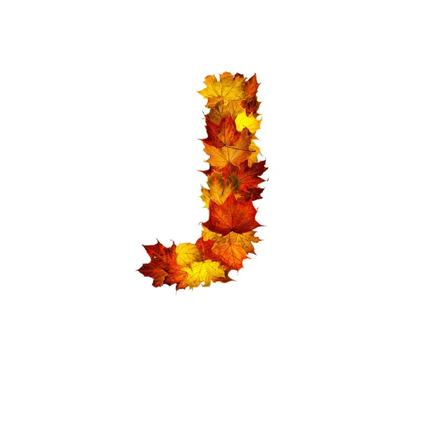 五彩缤纷的秋天树叶在白色的背景上被隔离成字母J字母J — 图库照片
