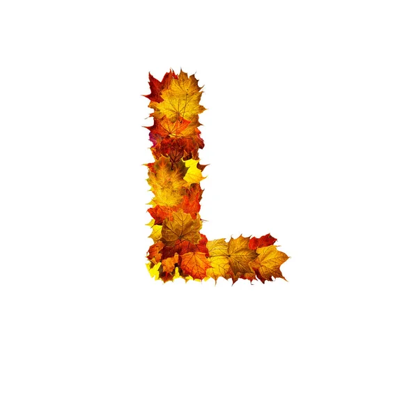 色彩斑斓的秋天树叶 以白色背景为背景 以字母L隔离 — 图库照片