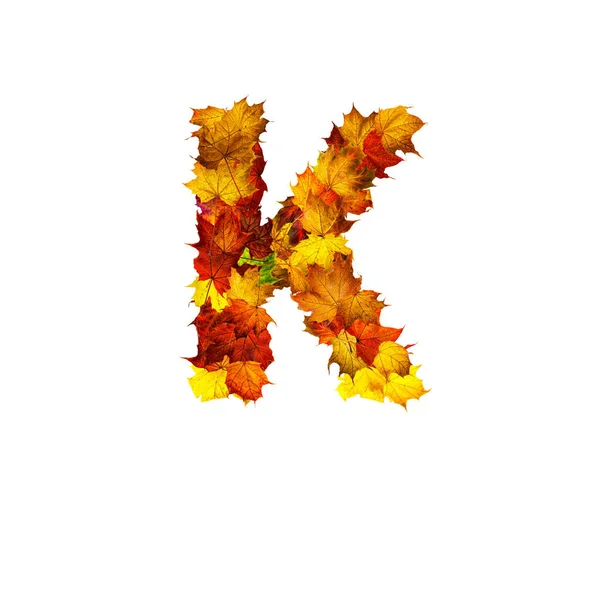 Цветные Осенние Листья Выделены Белом Фоне Буквой Буква — стоковое фото