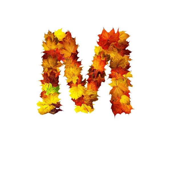 Kleurrijke Herfstbladeren Geïsoleerd Witte Achtergrond Als Letter Letter — Stockfoto