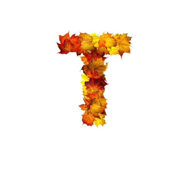 五彩缤纷的秋天树叶在白色的背景上像字母T一样与世隔绝 — 图库照片
