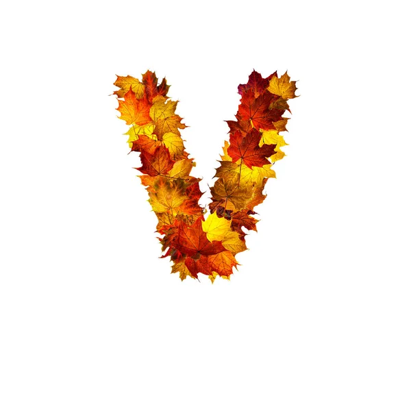 Kleurrijke Herfstbladeren Geïsoleerd Witte Achtergrond Als Letter Brief — Stockfoto