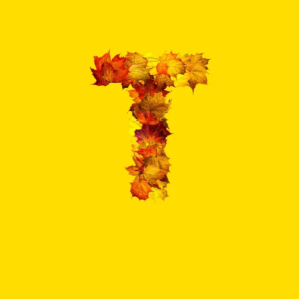 Folhas Outono Coloridas Isoladas Fundo Amarelo Como Letra Carta — Fotografia de Stock