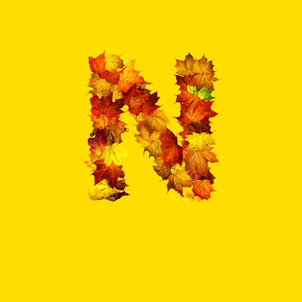 カラフルな紅葉が黄色の背景に文字Nとして隔離されています — ストック写真