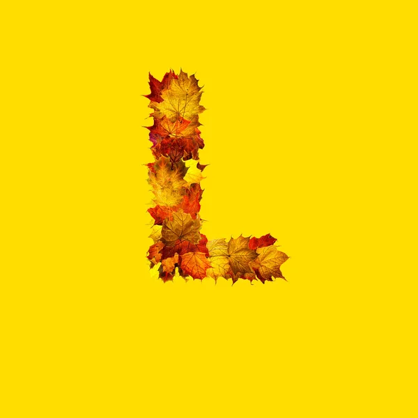 Sarı Arkaplanda Harfi Olarak Izole Edilmiş Renkli Sonbahar Yaprakları — Stok fotoğraf