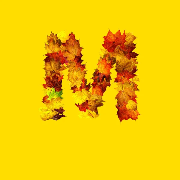 Colorful Autumn Leaves Isolated Yellow Background Letter Letter — 图库照片