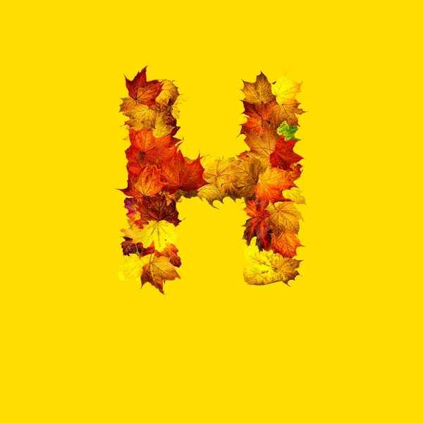 Colorful Autumn Leaves Isolated Yellow Background Letter Letter — 图库照片