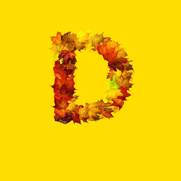 五彩缤纷的秋天树叶在黄色的背景上被分割成字母D — 图库照片