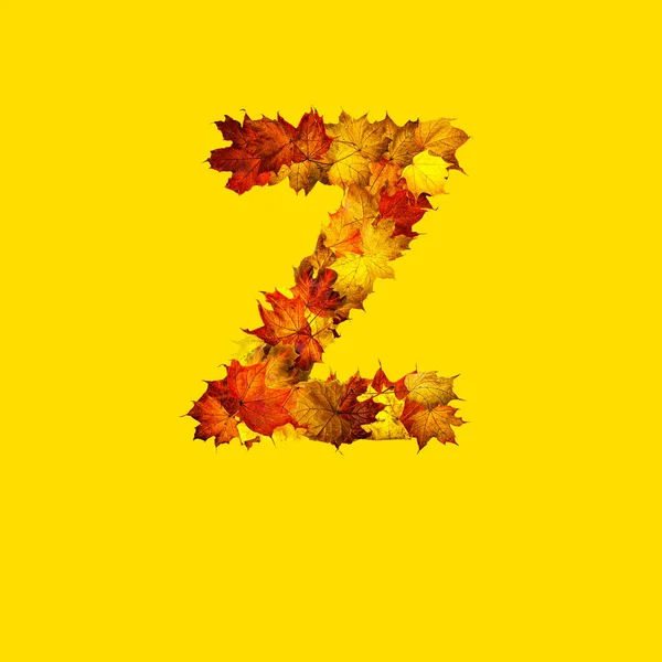 Цветные Осенние Листья Выделены Желтом Фоне Буква Буква — стоковое фото