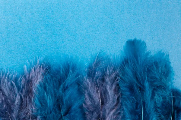 Μπλε Φτερά Μπλε Φόντο Χαρτί Μακρο Βολή Κοντινό Πλάνο — Φωτογραφία Αρχείου