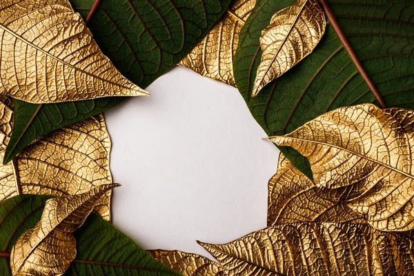 Golden Christmas flower leaves. Creative layout made of golden leaves with white paper card note. Minimal floral concept with copy space. Poinsettia.