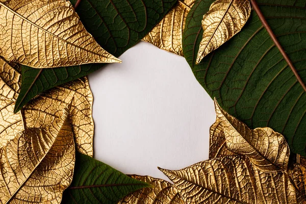 Golden Christmas flower leaves. Creative layout made of golden leaves with white paper card note. Minimal floral concept with copy space. Poinsettia.