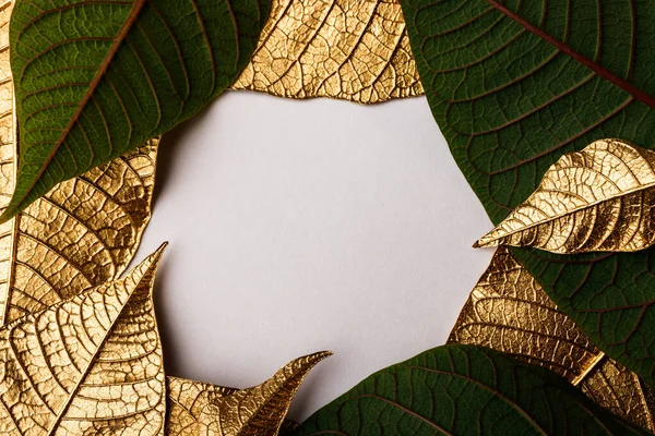 Golden Christmas flower leaves. Creative layout made of golden leaves with white paper card note. Minimal floral concept with copy space. Poinsettia.