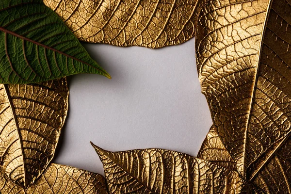 Arany Karácsonyi Virág Levelek Kreatív Elrendezés Arany Levelekből Fehér Papírkártyával — Stock Fotó