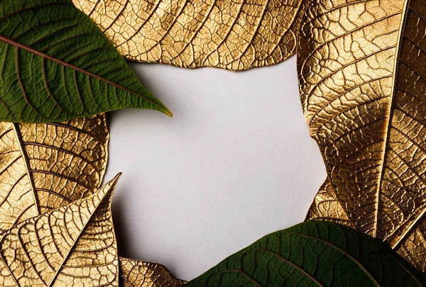 Goldene Weihnachtsblütenblätter Kreatives Layout Aus Goldenen Blättern Mit Weißem Papierkarton lizenzfreie Stockfotos