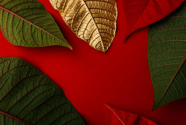 Χρυσά Χριστουγεννιάτικα Φύλλα Λουλουδιών Δημιουργική Διάταξη Από Χρυσά Φύλλα Κόκκινη — Φωτογραφία Αρχείου