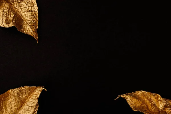 Χρυσά Φύλλα Δημιουργική Διάταξη Από Χρυσά Φύλλα Μαύρη Χάρτινη Σημείωση — Φωτογραφία Αρχείου