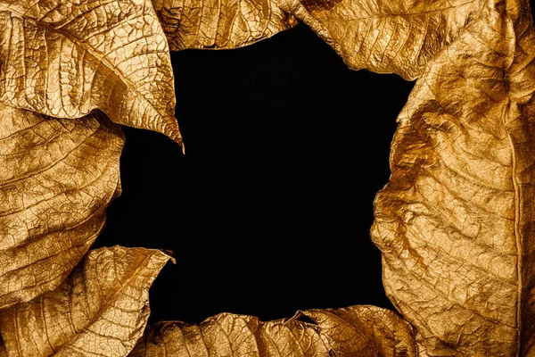 Golden leaves. Creative layout made of golden leaves with black paper card note. Minimal floral concept with copy space.