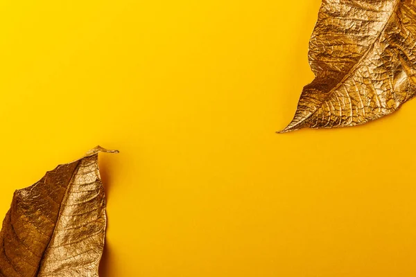 Golden leaves on yellow background. Creative layout made of golden leaves with yellow paper card note. Minimal floral concept with copy space.