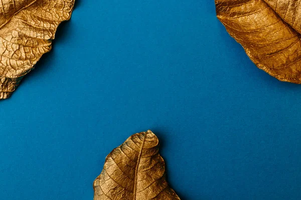 Złote Liście Niebieskim Tle Kreatywny Układ Wykonany Złotych Liści Niebieską — Zdjęcie stockowe