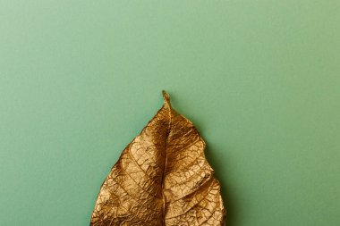 Yeşil kart notlu altın yaprak. Gen arka planında altın bir yaprak. Kopya alanı olan en küçük çiçek kavramı.