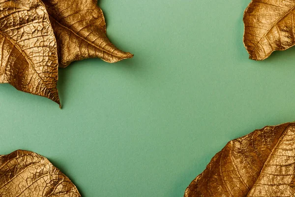 Χρυσά Φύλλα Πράσινο Φόντο Δημιουργική Διάταξη Από Χρυσά Φύλλα Πράσινη — Φωτογραφία Αρχείου