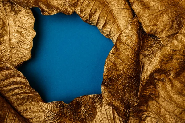 Golden Leaves Creative Layout Made Golden Leaves Blue Paper Card — Stock Photo, Image